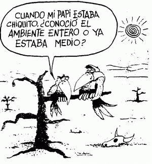 Lo que esta pasando con nuestro ambiente